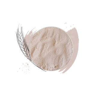 Super Viennoiserie Concentré