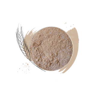 Phil Fournée Ferment