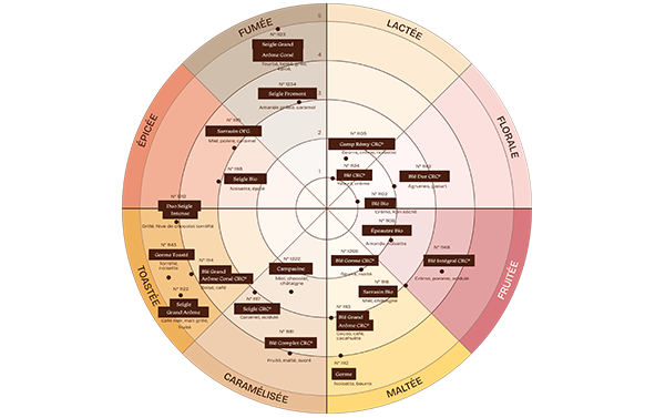 Diagramme circulaire présentant une palette aromatique, avec des catégories nommées fumée, lactée, florale, fruitée, maltée, caramélisée, toastée et épicée, et des références positionnées dans chaque zone.