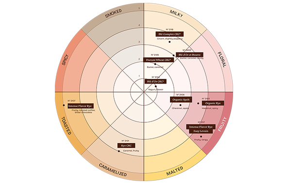 Circular chart displaying an aroma profile, with categories labeled: smoky, milky, floral, fruity, malty, caramelized, toasted, and spicy, with references positioned in each section.