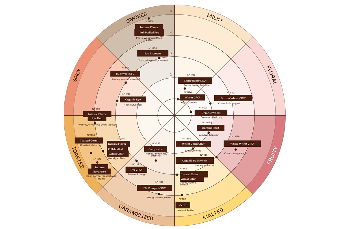 Circular diagram presenting an aromatic palette, with categories named smoky, milky, floral, fruity, malty, caramelized, toasted, and spicy, and references positioned in each area.