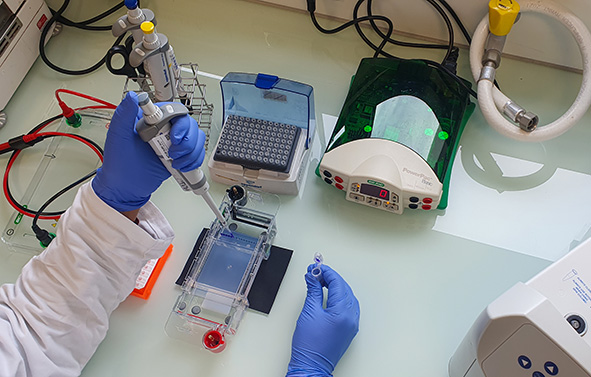 Person wearing gloves handling a pipette and samples on a laboratory bench with scientific analysis equipment.