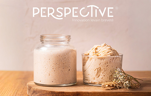 The highly active Perspective sourdough in two formats: liquid and doughy