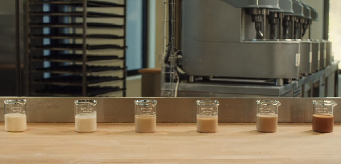 Levains liquides dans des béchers disposés sur un comptoir en bois