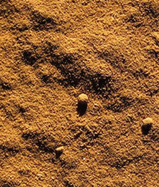 Dehydrated sourdough powder, brown in color, photographed in close-up.