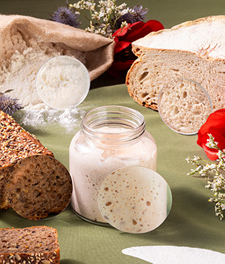 Liquid sourdough in a jar on a green tablecloth, surrounded by elements symbolizing nature (flowers, flour, bread)
