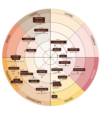 Diagramme circulaire présentant une palette aromatique, avec des catégories nommées fumée, lactée, florale, fruitée, maltée, caramélisée, toastée et épicée, et des références positionnées dans chaque zone.