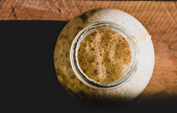 Levain vivant avec bulles de gaz qui s'échappent