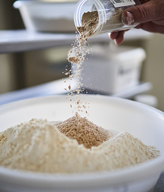 Une cuvette avec de la farine et du levain déshydraté