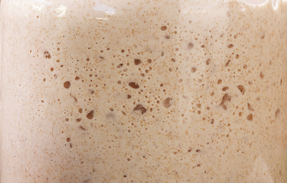 La fermentation d'un levain avec des bulles de gaz