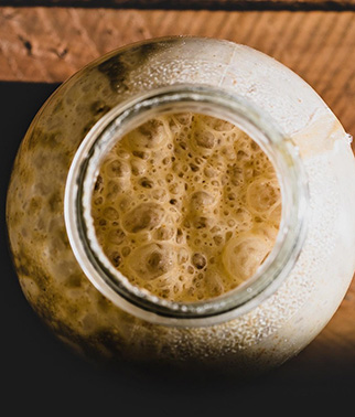 A highly active sourdough that produces a large amount of gas, with visible bubble formation