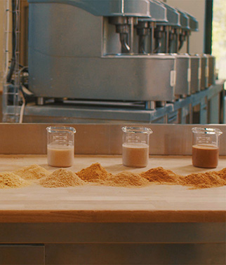 An assortment of liquid sourdough starters in beakers and dehydrated sourdough powders displayed on a wooden countertop.