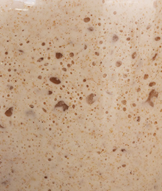 Masa madre líquida con numerosas burbujas de fermentación visibles en primer plano.