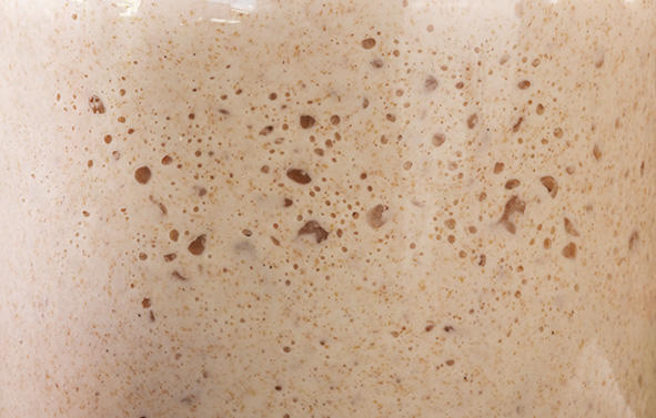 Masa madre líquida con numerosas burbujas de fermentación visibles en primer plano.