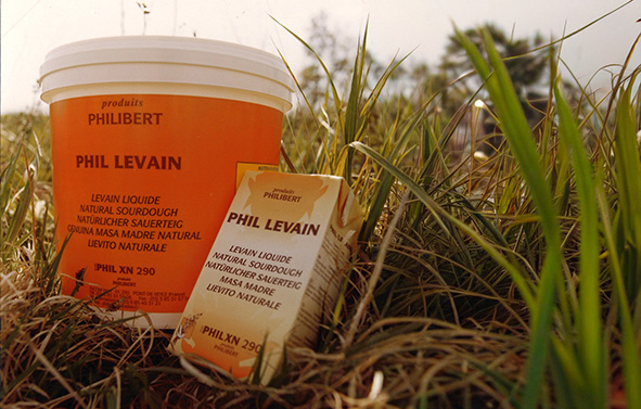 The liquid sourdough range in a bucket and a carton, surrounded by nature