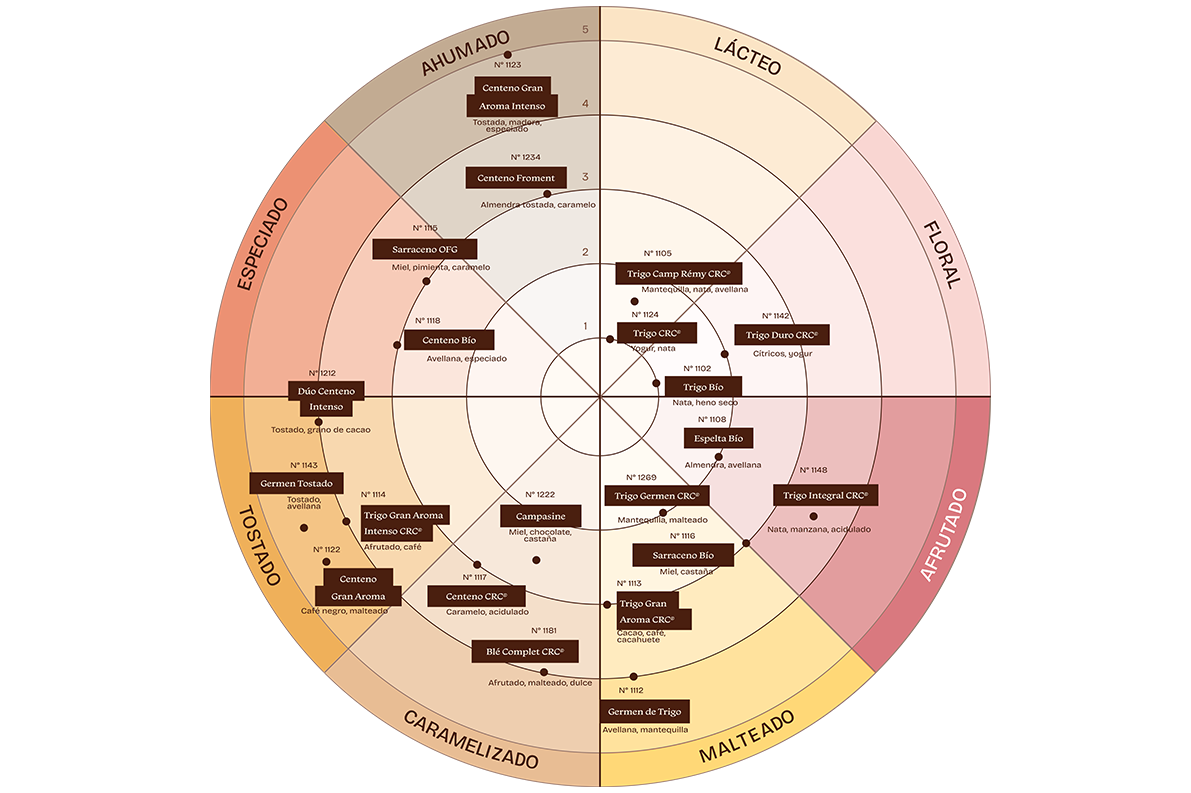 Diagrama circular que presenta una paleta aromática, con categorías denominadas ahumada, láctea, floral, afrutada, maltosa, caramelizada, tostada y especiada, y referencias posicionadas en cada zona.